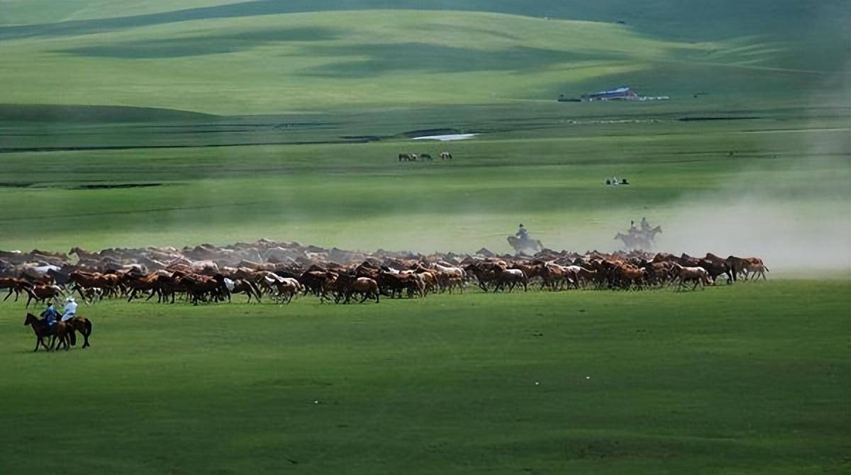 太阳_乌伦古河_鲁黑和