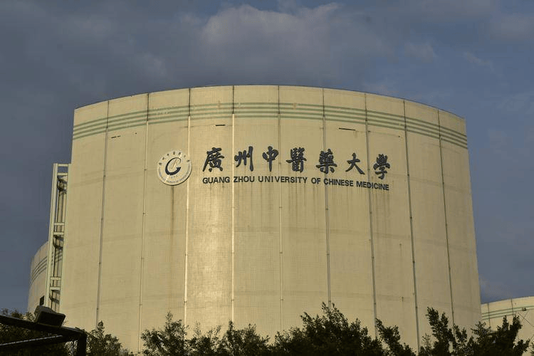 2024年广州中医药大学成考本科中西医临床医学专业报考步骤