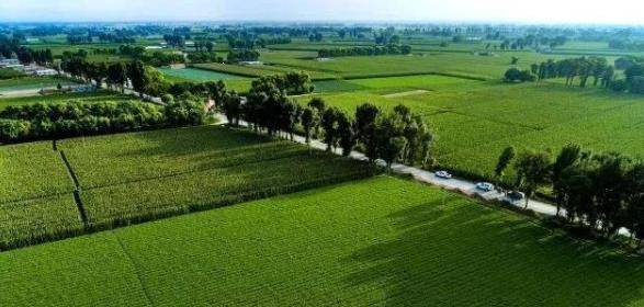 原创我国即将被消灭的沙漠一群捣蛋鬼来过后毁掉了40年努力