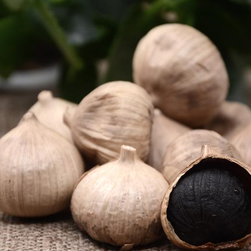 黑蒜头对人体也是非常有益的,能增加组织对细胞的吸收,提高人体葡萄糖