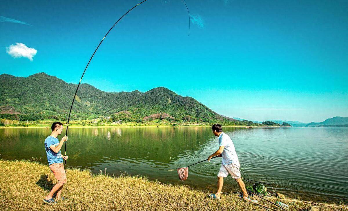 炎炎夏日,近中远都能收获!夏天钓鱼的技巧与心得