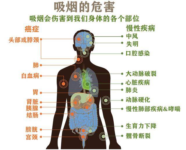 戒烟成功后