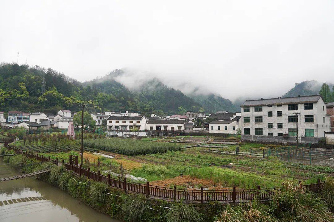 俞源乡在药香里探寻致富密码武义发布202404141331浙江