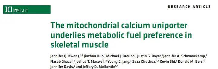 应用篇|aav在肌肉组织中的靶向策略_vps_治疗_乳酸
