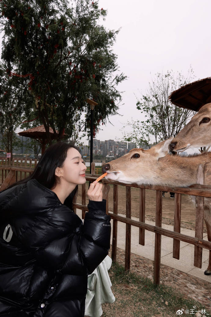 21岁的她精灵森甜文艺成熟多面切换自在表达的青春