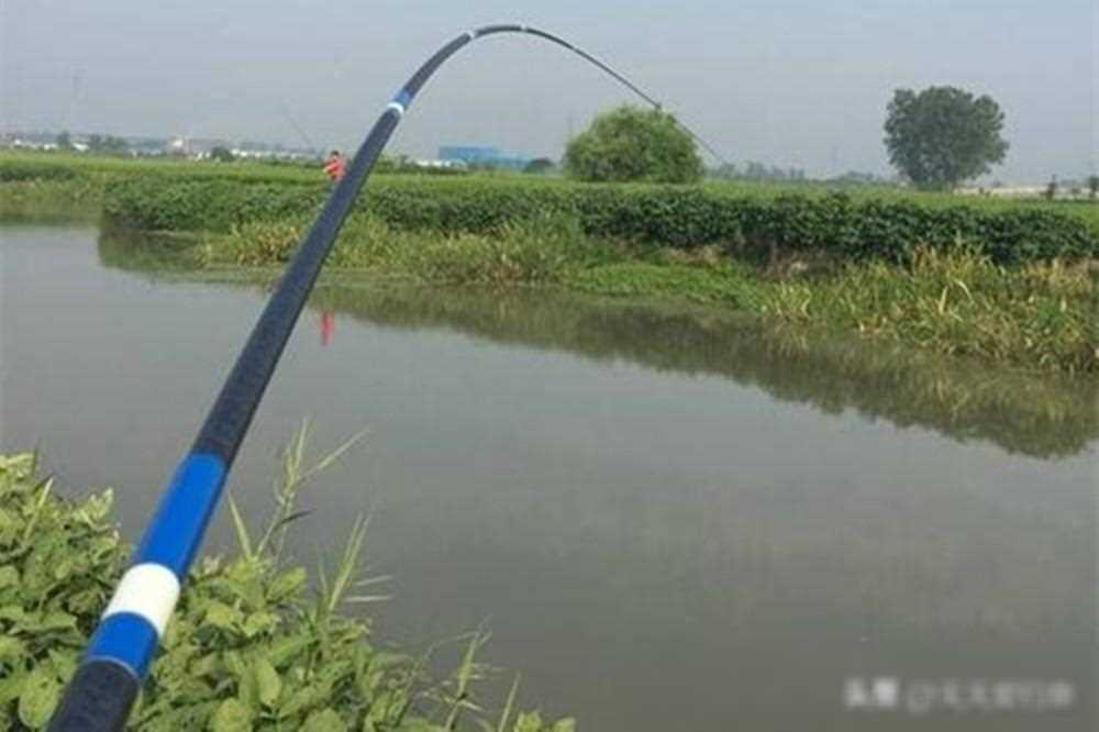 原创野钓白条鱼4种常用方法轻松钓半桶