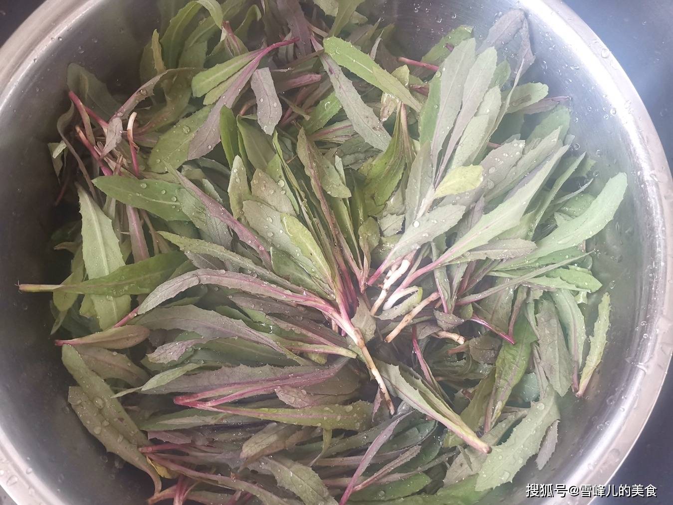 上图中就是生长中的曲曲芽,刚刚冒芽,呈现红的的根和叶,味道没有苦菜