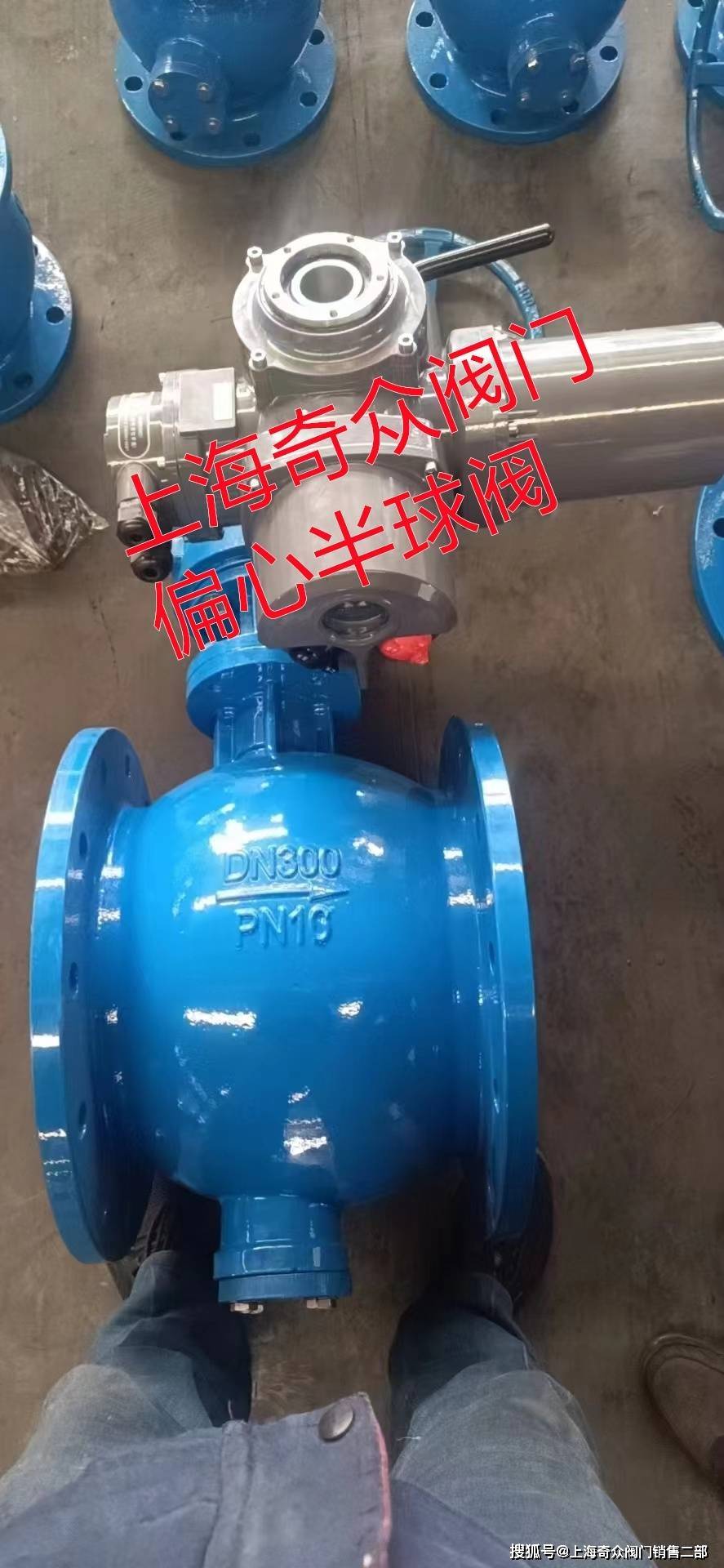 大口径上装式偏心半球阀品牌奇众阀门