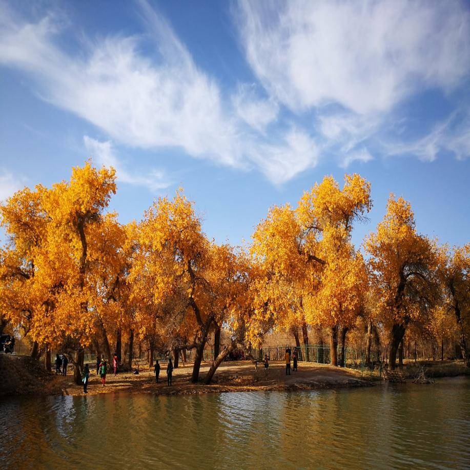 巴音郭楞到内蒙跟团旅游35天需要多少钱人均1280赶紧码住