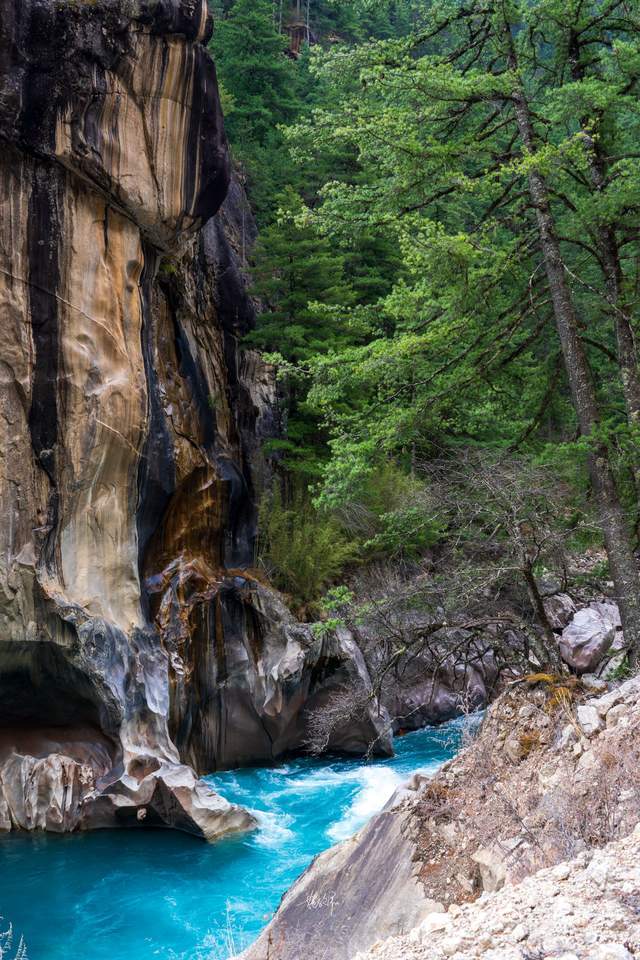 尼屋到八盖地图上没有的路藏在深山里的易贡大峡谷