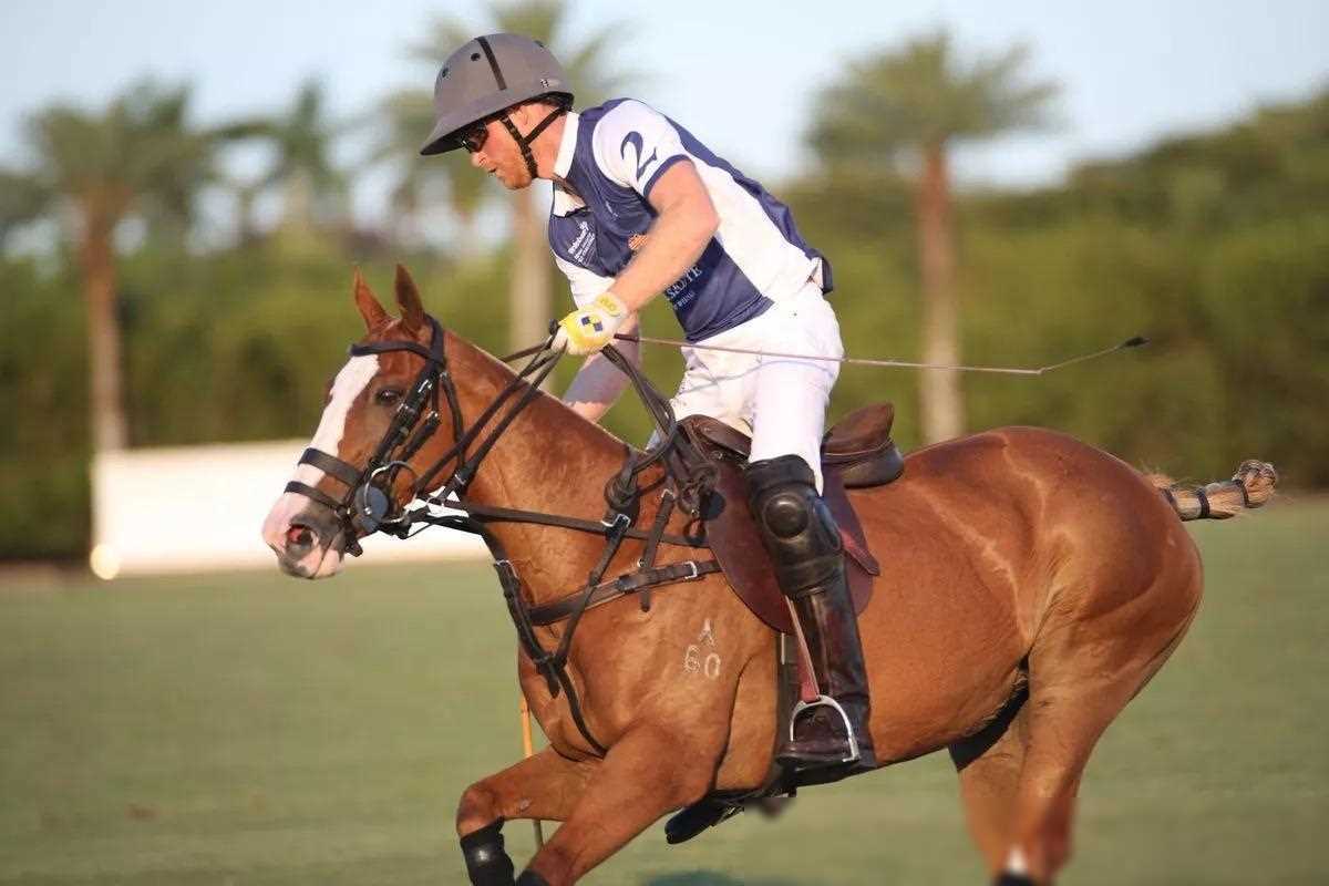 据英媒报道,哈里王子在美国公开赛四分之一决赛中亮相,为瓦利安特队