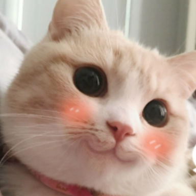 时候_表情_猫咪