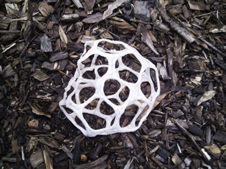 20张图片带着你去看一看这个世界上那些千奇百怪的东西