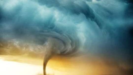 原创龙见中国历史的独特表达方式明知是假却坚持写进书里