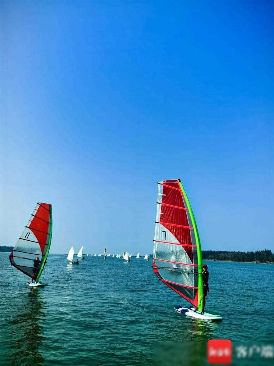 原创临高举办帆船帆板赛椰视频擦亮水上运动文旅新名片