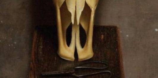 冷军画捆着麻布的牛角尖卖483万专家放大10倍看不贵