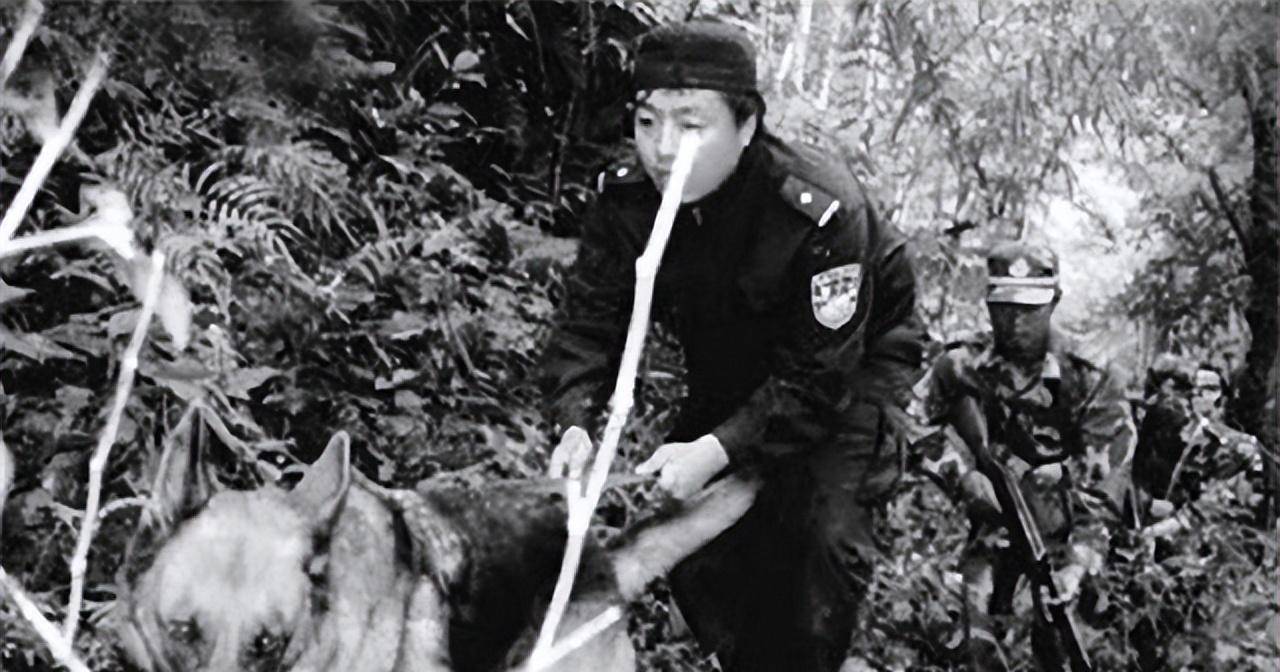 原创大案回顾嗜杀的东北二王为何会在小山村被击毙