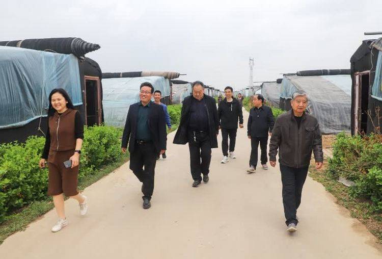 风光惹我笑盈腮一一衡水市武邑县武罗农业种植基地采风记