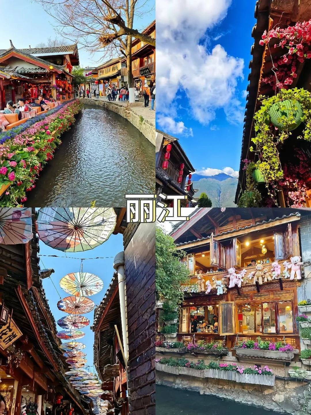 带父母去云南5天旅游行程路线及费用,云南5日游吃住行攻略,看完就明白_玉龙雪山_阿洁_Day