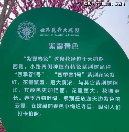 北京世界花卉大观园的唯美紫霞春色
