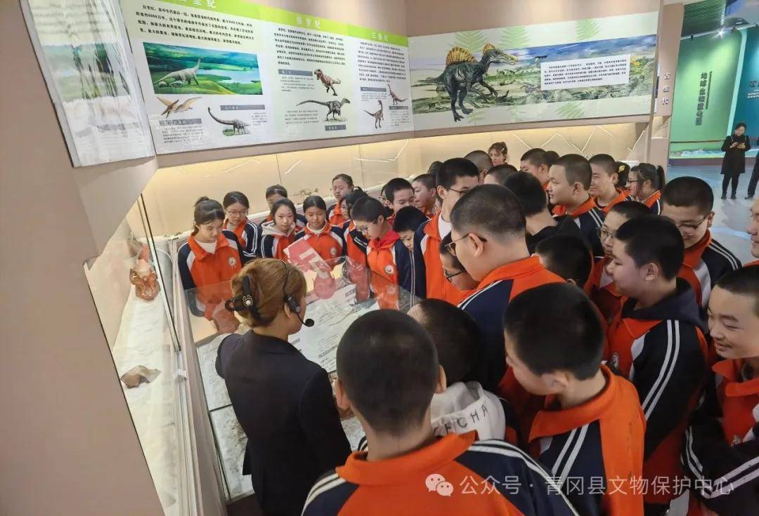 万古冰河映青冈 青中学子爱家乡_青冈县_化石_生物