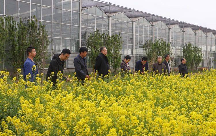 风光惹我笑盈腮一一衡水市武邑县武罗农业种植基地采风记