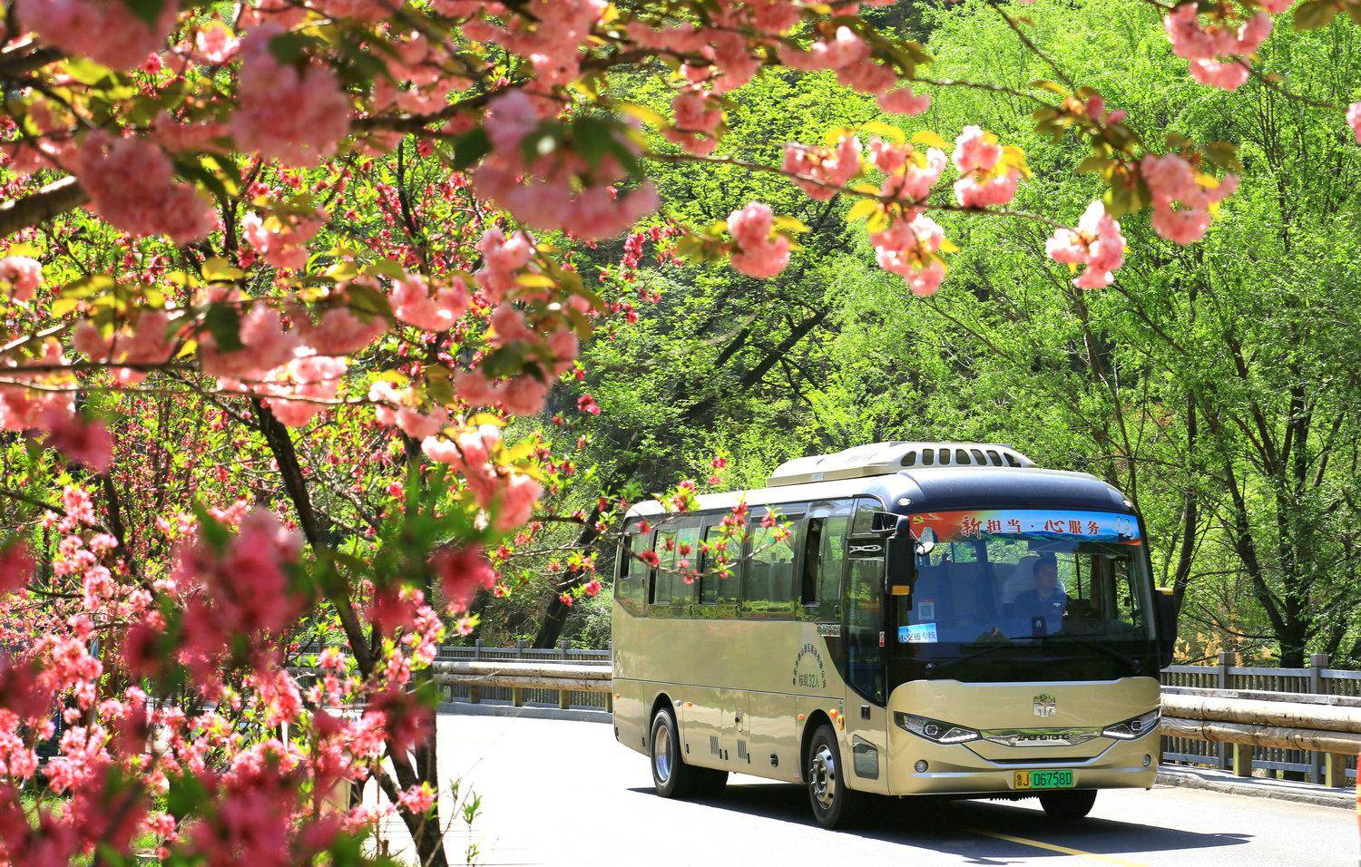 泰山桃花峪游客中心图片