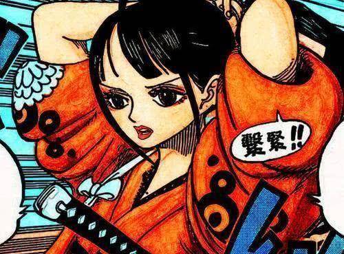 海贼王中的女性认不清罗宾撞脸女帝阿紫阿菊和光月时分不清