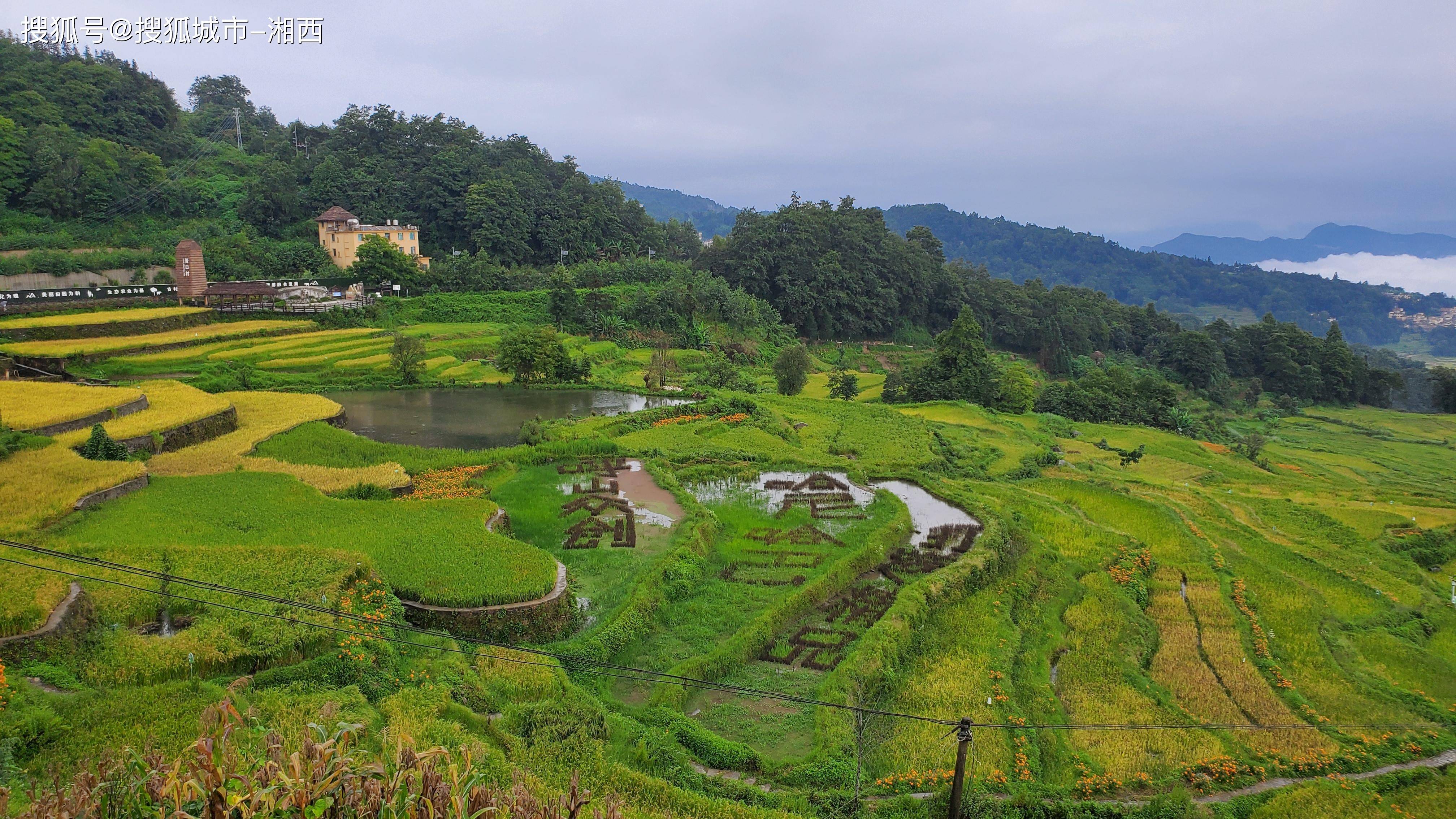 乡村振兴也可以很美丨初秋的云南最值得去的地方元阳