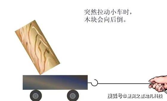 【小精灵】惯性是物体自身的一种属性,一起来发现生活中有趣的惯性