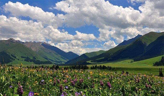 新疆六日游最佳路线分享新疆6天5晚纯玩景点看完不用到处找攻略