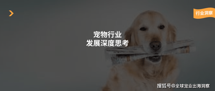 宠物行业虽表现出色但也在变得鱼龙混杂