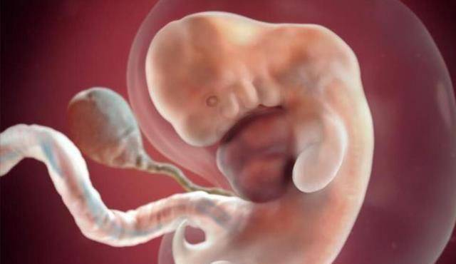 怀孕早期,胎宝宝和准妈妈变化明显,几点问题准妈妈要知道