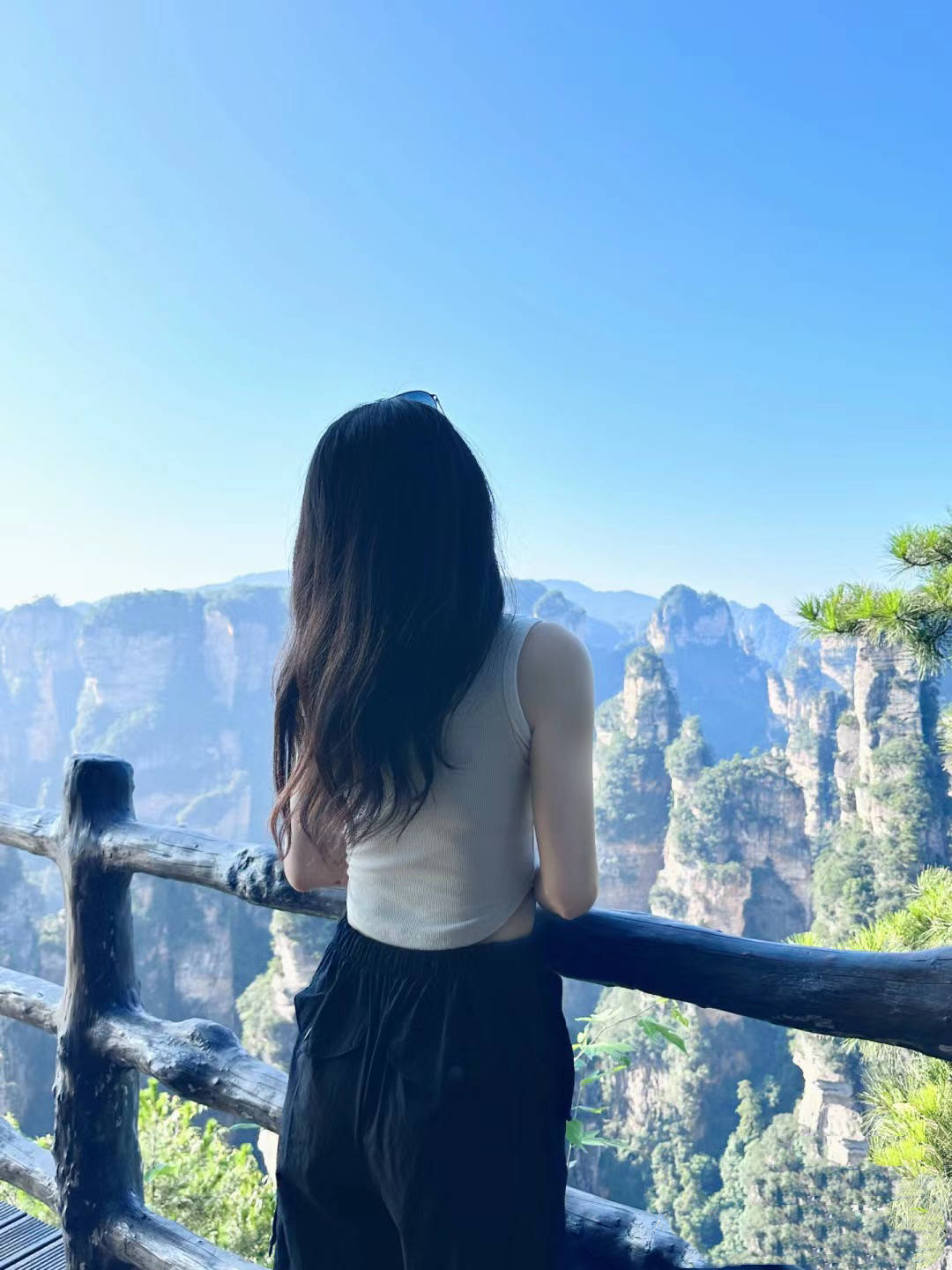 张家界旅游3日游促销福利来了张家界旅游3日游人均500