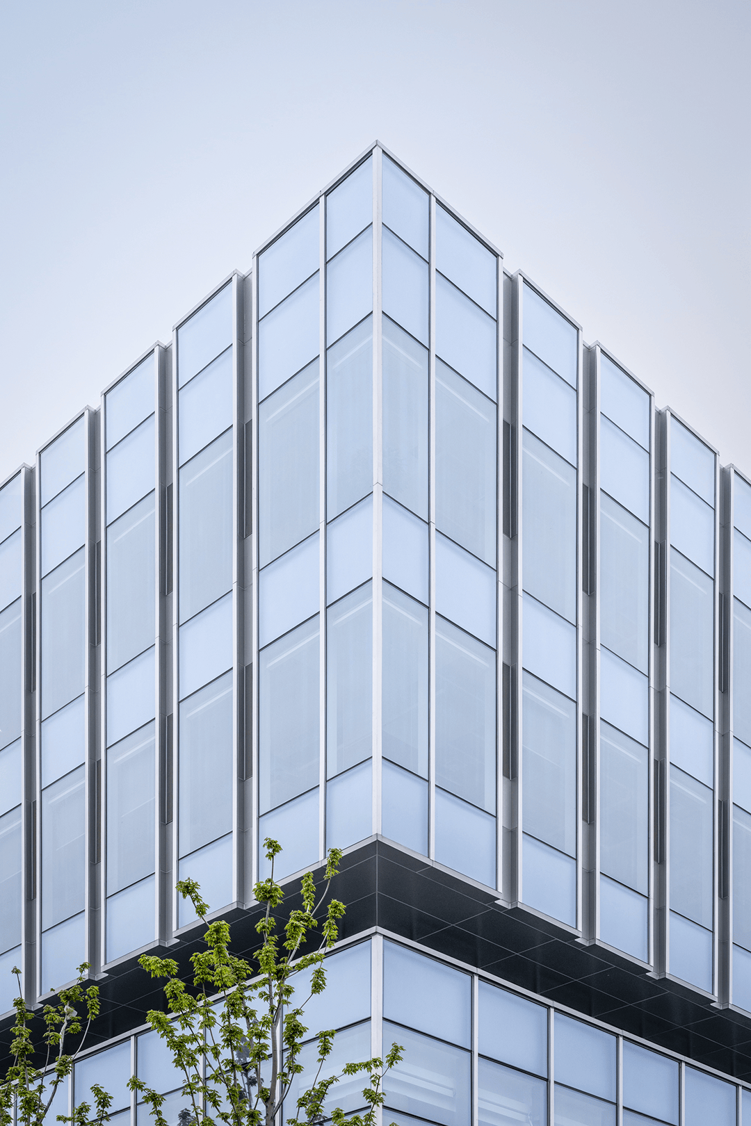 综合楼幕墙细节主入口采用不锈钢外雨棚与内门斗一体化设计,使室内外