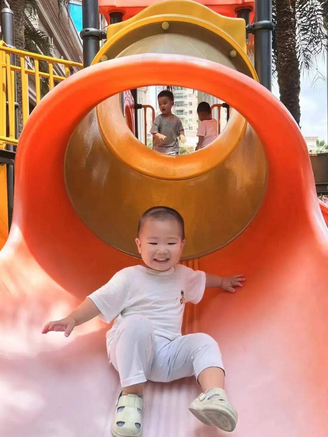 托育宝典 | 带你了解托育:为宝宝的成长奠定坚实基础