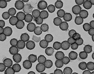 氢基化中空介孔二氧化锰 150nm 的特性