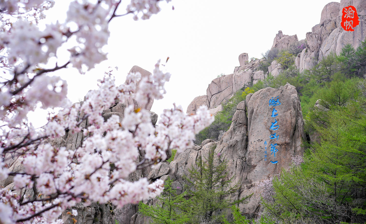 游海上第一名山,赏沿途花海胜景,揽巨峰崂顶之仙境_崂山_景区_青岛