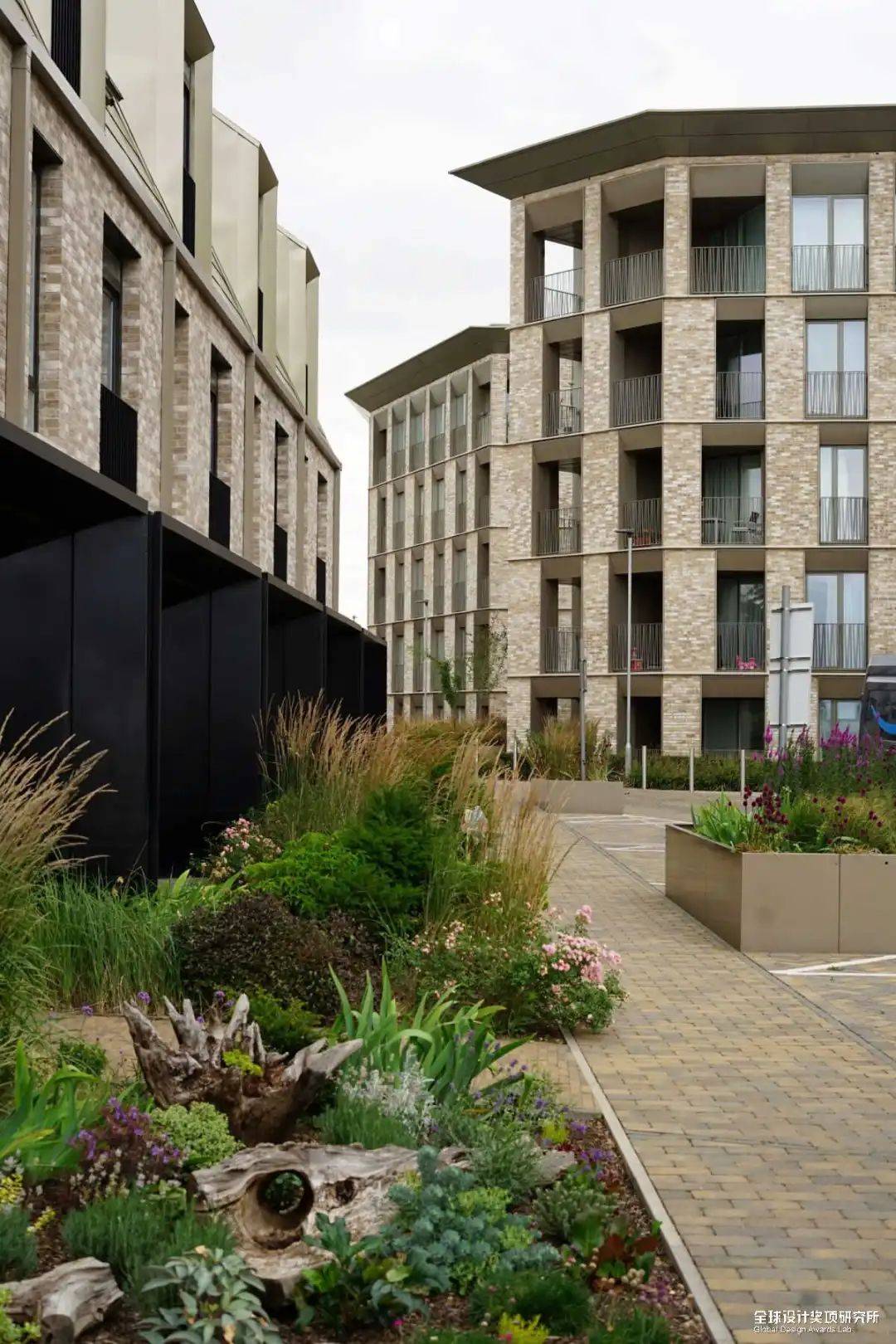 2024 第14届加拿大az awards入围名单揭晓