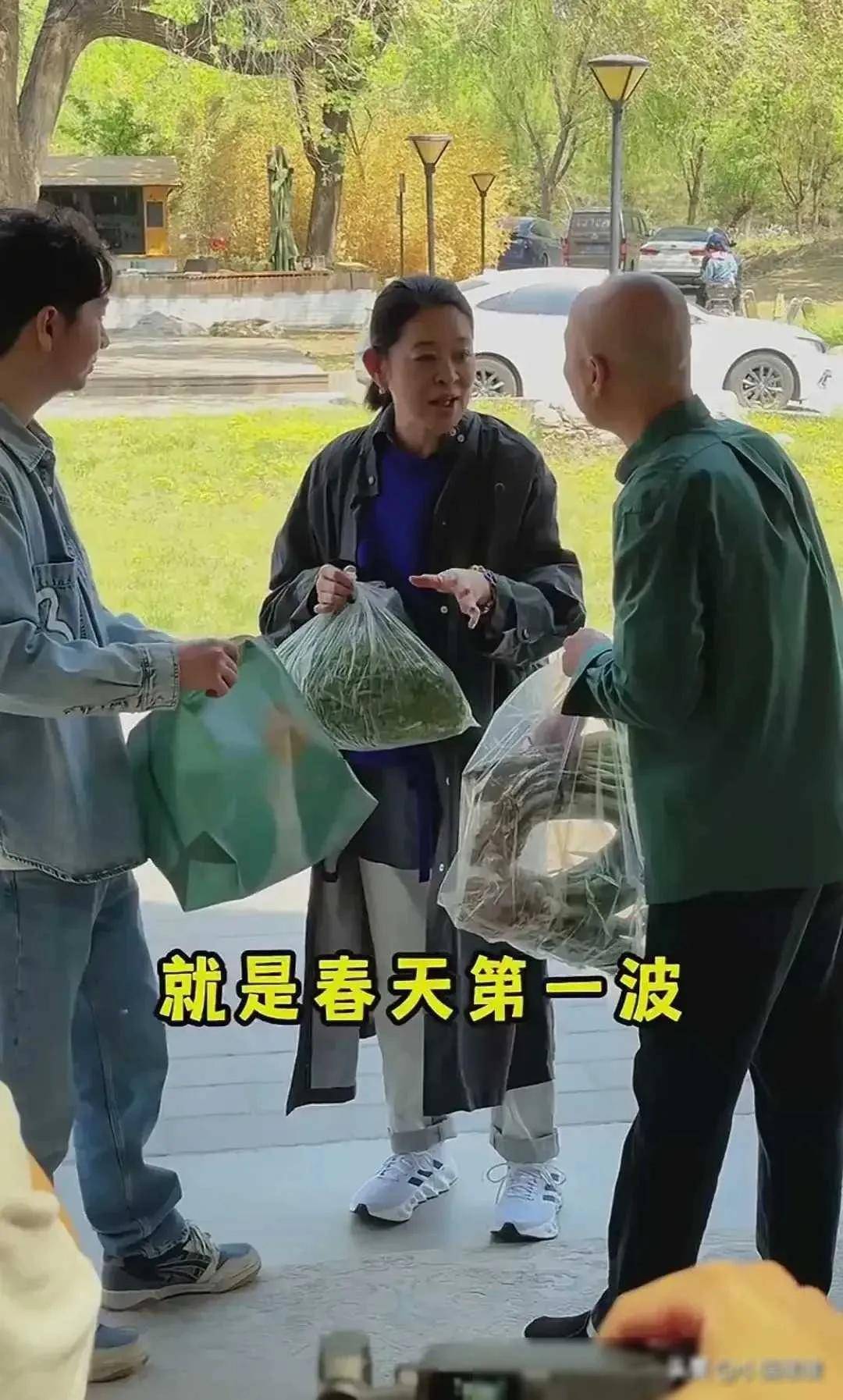 倪萍瘦了反倒显老,脸上褶子增多并没变漂亮,但穿着