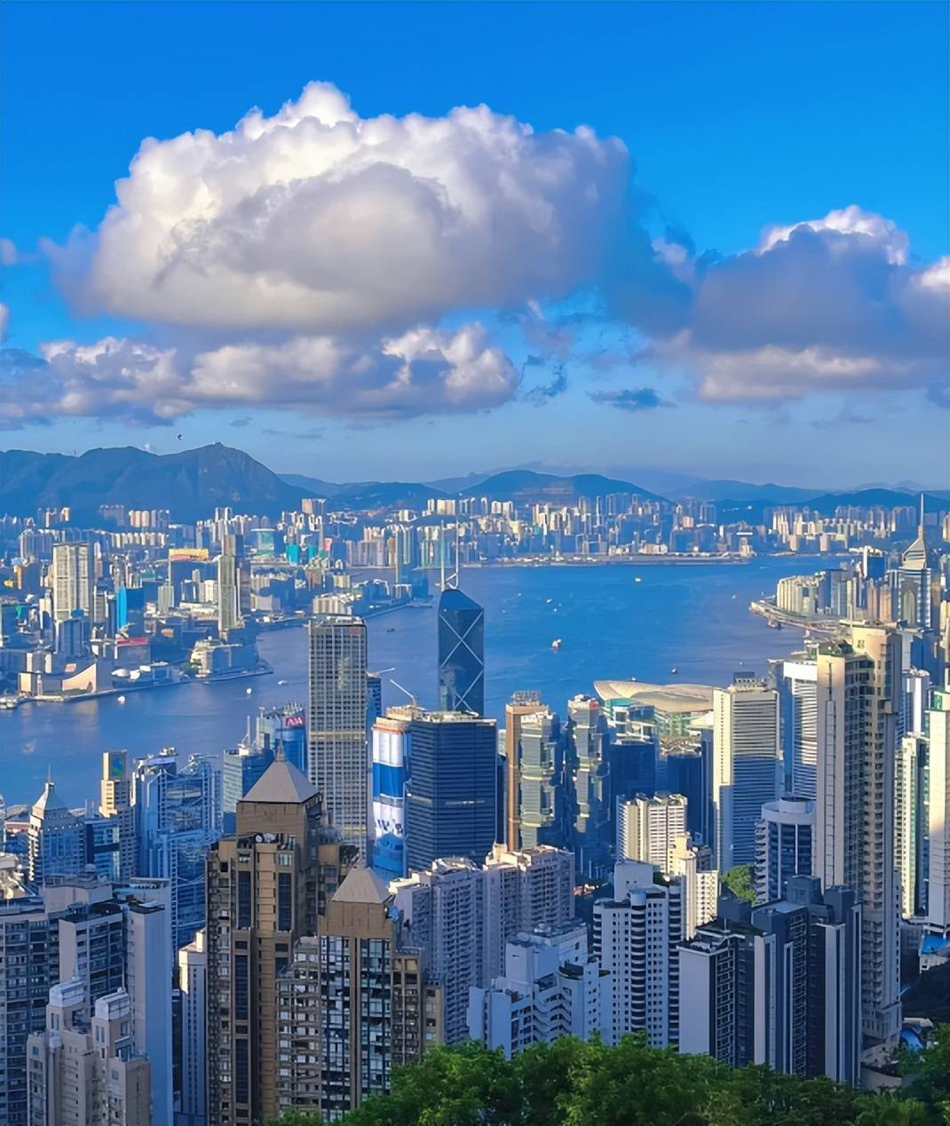 香港_旅行_导游