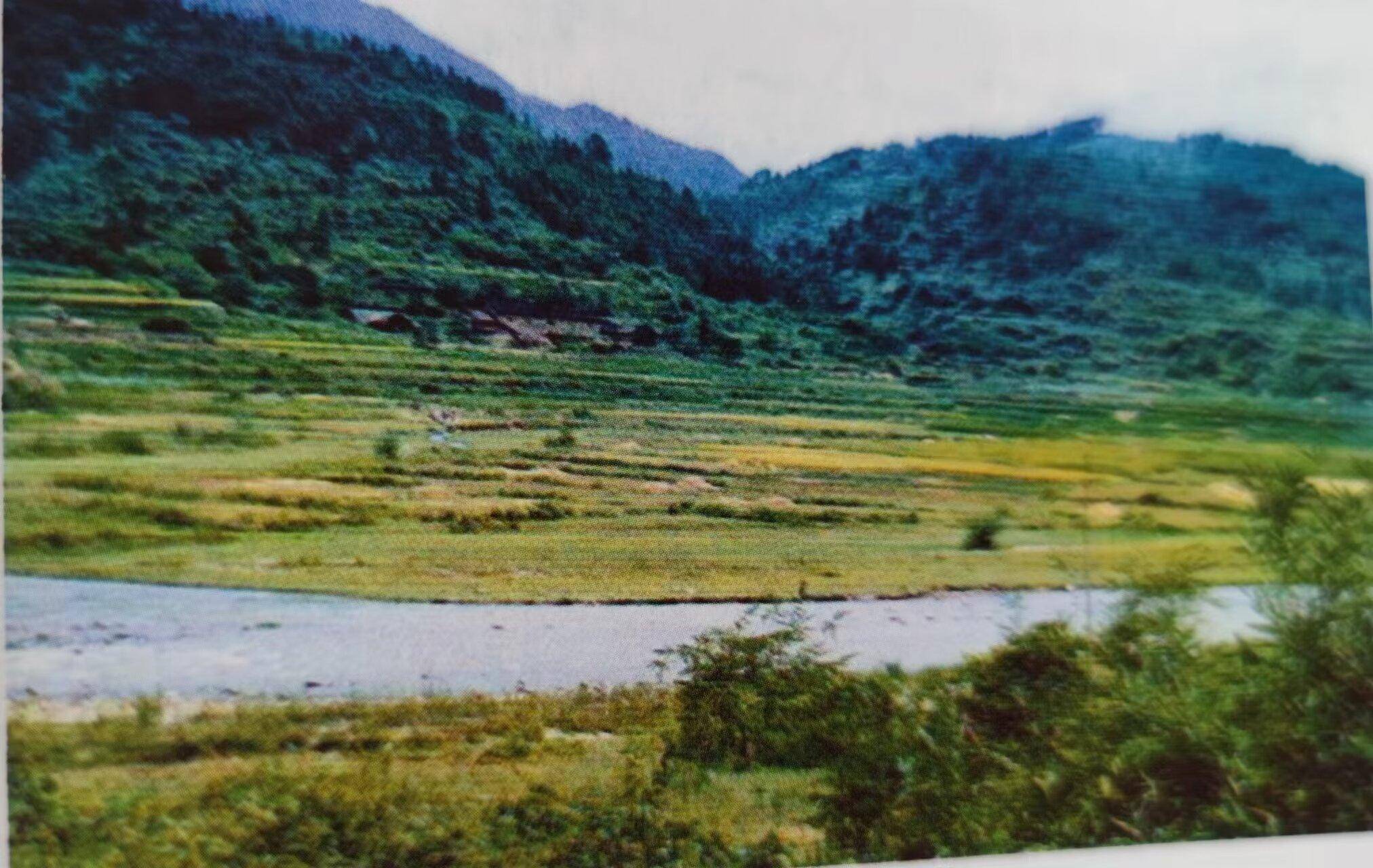 广东,广西分别由省(区)革委会副主任寇庆延,覃应机率队并共同主持两省