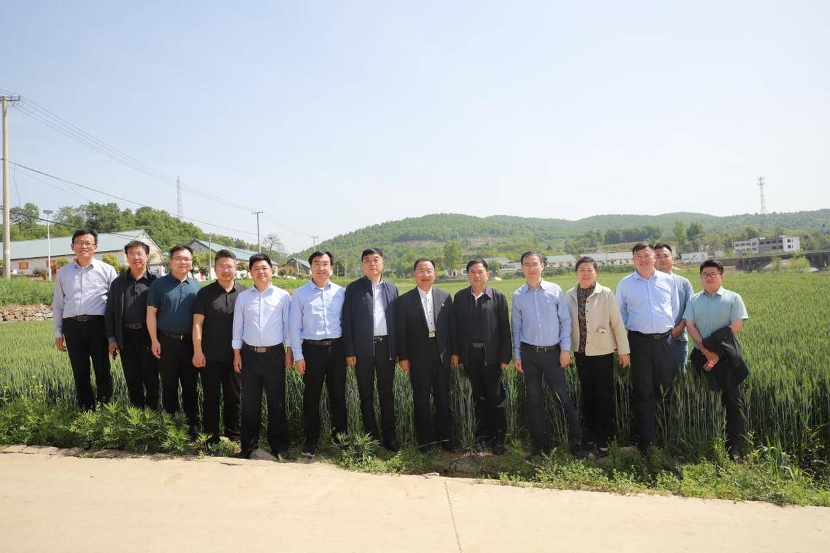 南阳市科协四级调研员李红科,淅川县委副书记,县长王兴勇,副书记包海