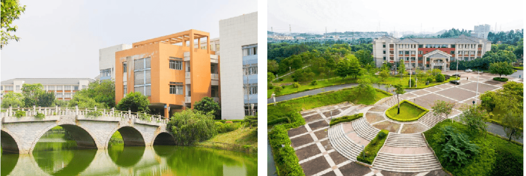 广东外语外贸大学数学与统计学院2024年招聘启事_人才_岗位_学科