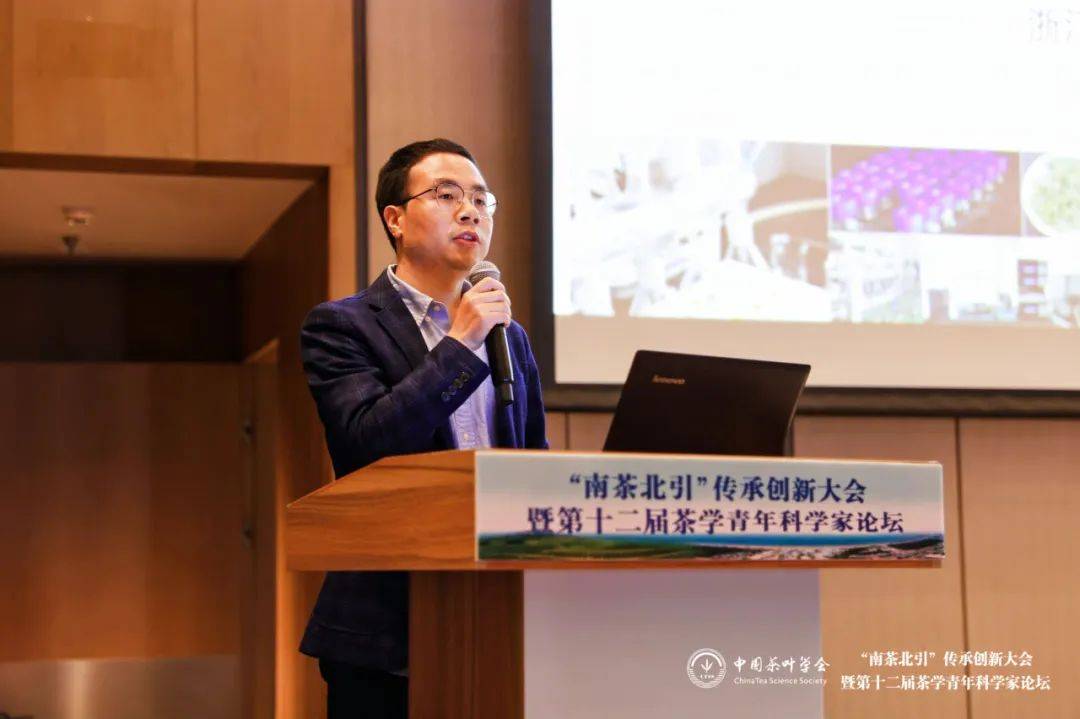 中国茶叶学会副理事长兼青年工作委员会主任,安徽农业大学茶与食品