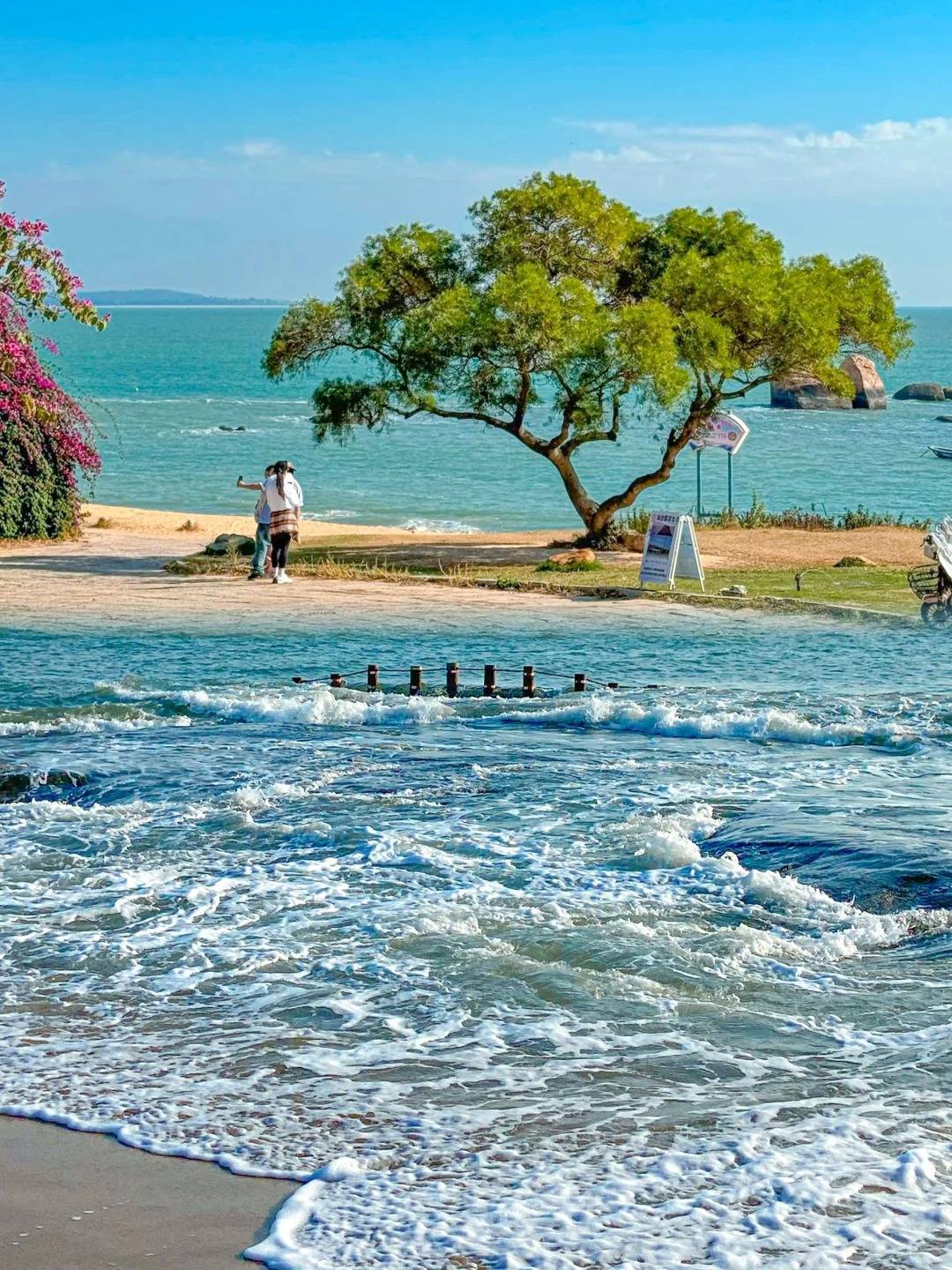 从铜陵市到厦门旅游攻略及费用!人均仅1000!经历分享!