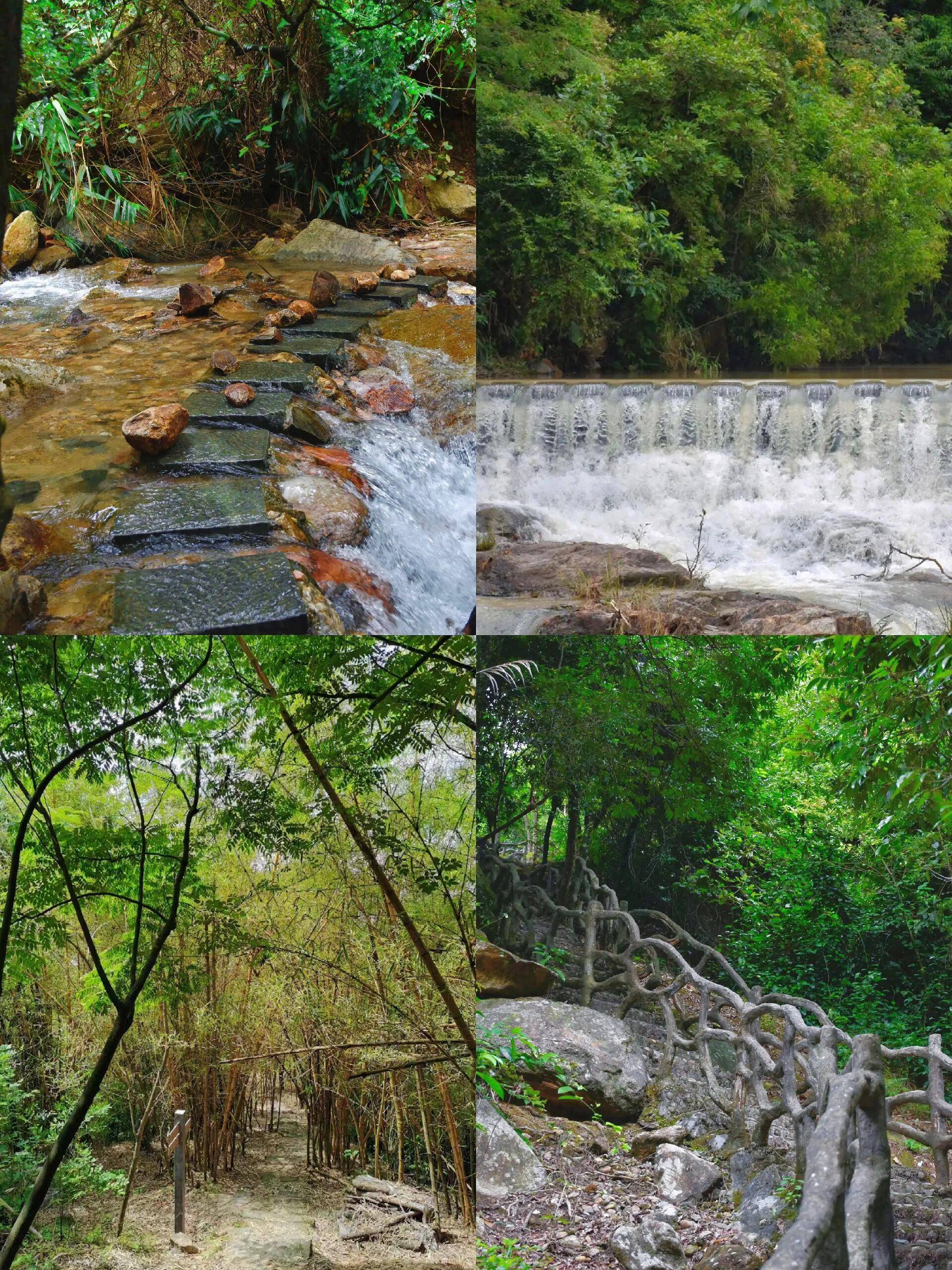 龙门寺风景区 长丰图片