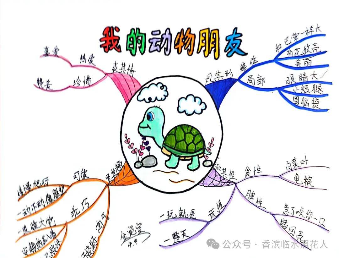 思维导图画小动物 王怡然《我的动物朋友