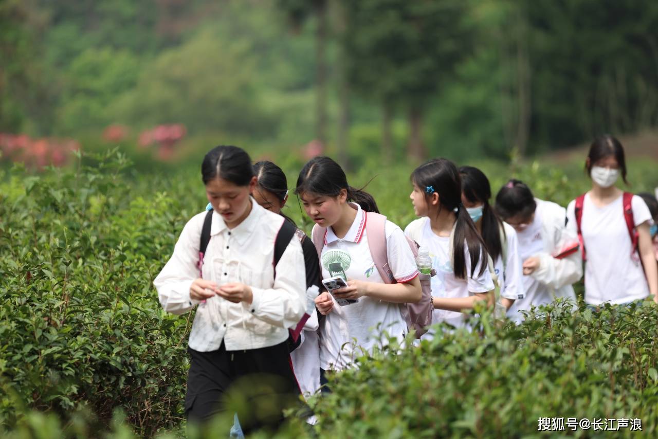 武汉七一中学堤角校区图片