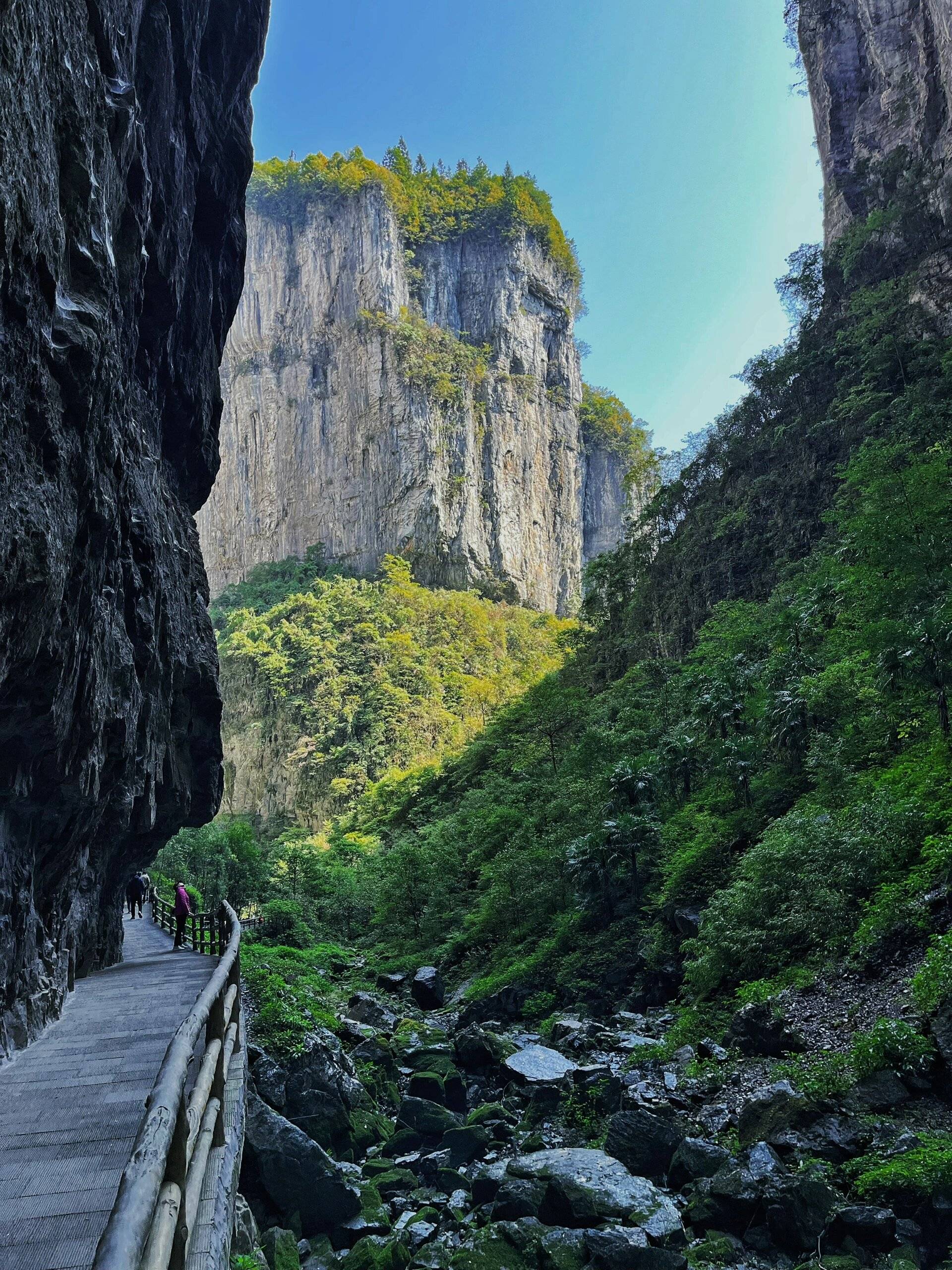 重庆旅游详细行程线路攻略,重庆旅游攻略及费用,导游详细介绍